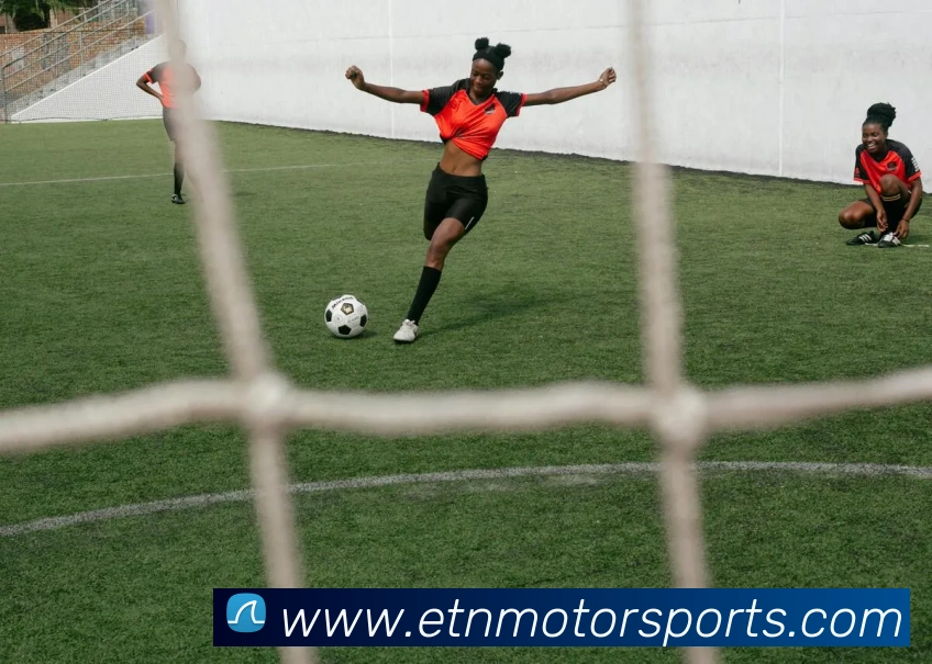 球赛投注平台生态图